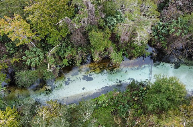 Florida paddle excursions - Emerald Cut spring-run breaks: swimming, photos, and wildlife talk