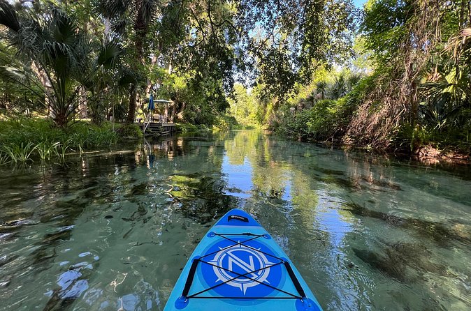 Florida paddle excursions - Feeling safe without feeling slowed down