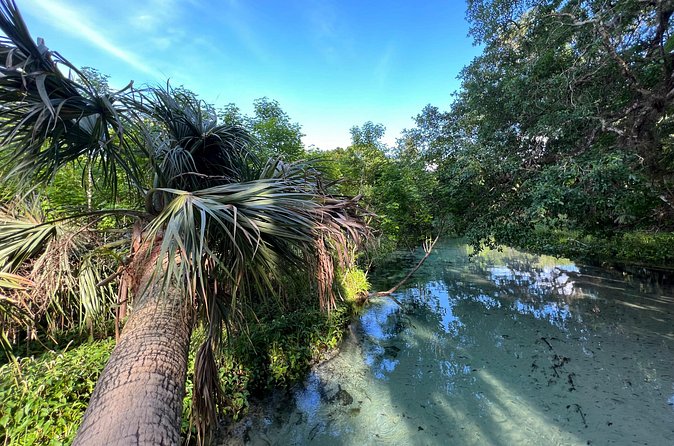 Florida paddle excursions - Why the $60 price works (if you want the right kind of adventure)