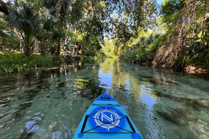 Florida paddle excursions - Who should book Florida Paddle Excursions in Orlando