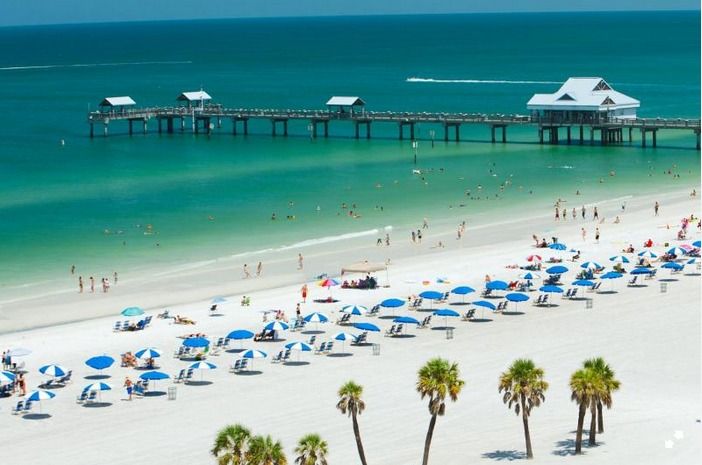 From Orlando: Clearwater Beach and Marine Aquarium Admission - A Dolphin Tale–Linked Day Trip That’s Actually About Care
