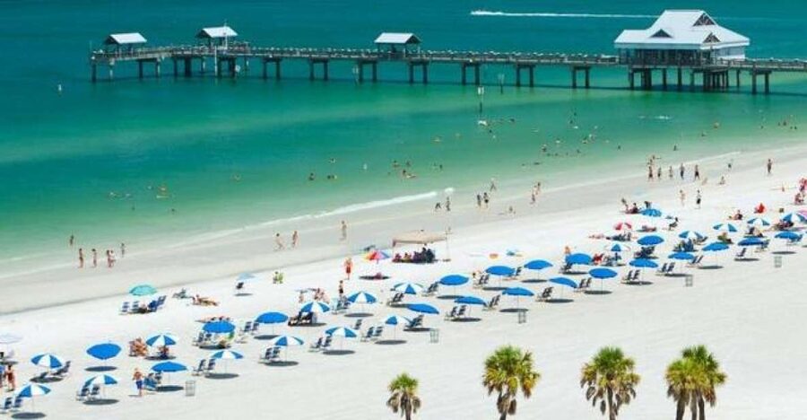 From Orlando: Clearwater Beach and Marine Aquarium Admission - Stingray Beach and Other Animal Exhibits: Extra Ways to Spend the Day