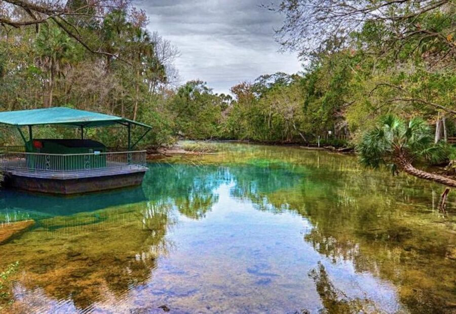 From Orlando: Manatee Snorkel Tour with Lunch & Hotel Pickup - What to bring (and what to skip)