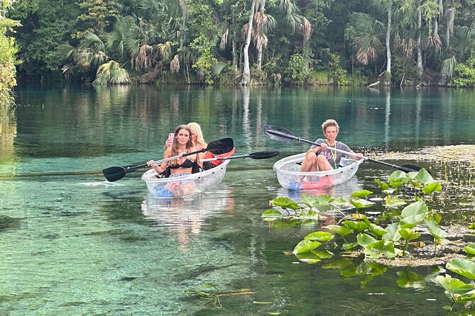 Gator Viewing Clear Kayak Springs Tour - Key points before you go