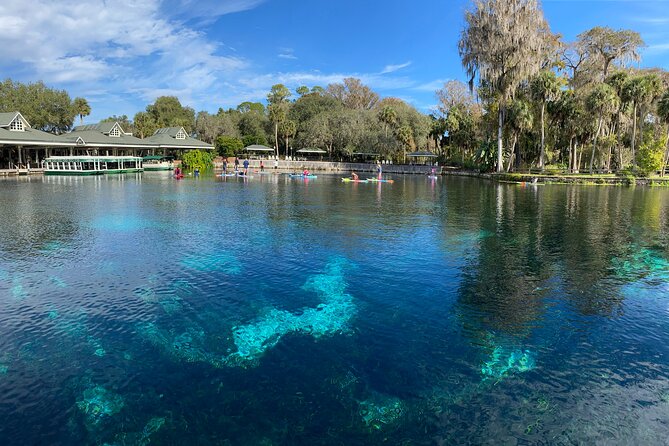 Gator Viewing Clear Kayak Springs Tour - Clear Kayak Days at Silver Springs State Park