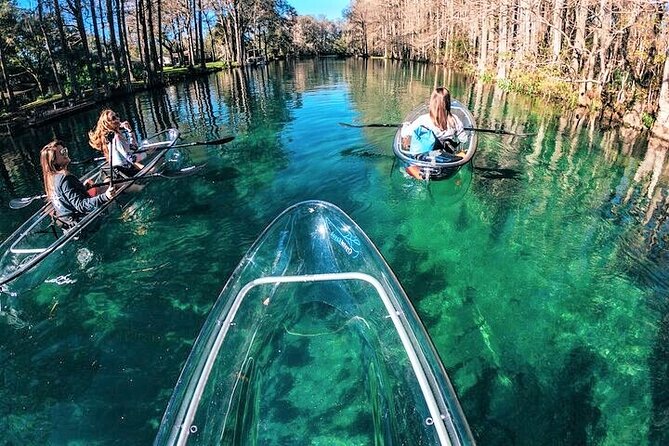 Glass Bottom Kayak Eco Tour through Rainbow Springs - KP Hole Park Return: Wrapping Up the Paddle Without Rushing