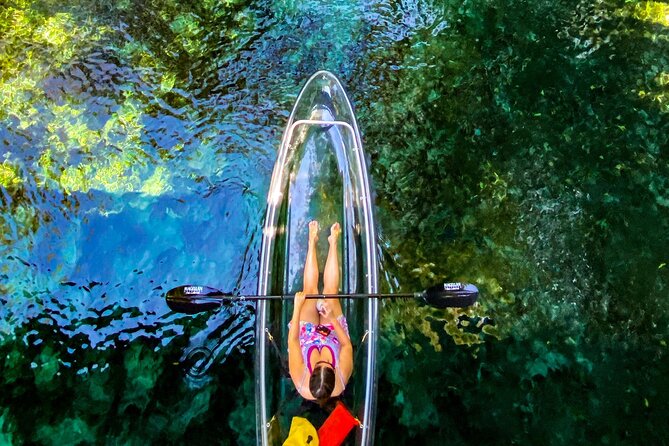 Glass Bottom Kayak Tours of Silver Springs - Wildlife Watching Tips That Actually Help on This Tour