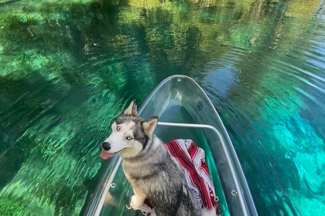 Glass Bottom Kayak Tours of Silver Springs - Logistics to Watch: Maps, Timing, and Park Crowds