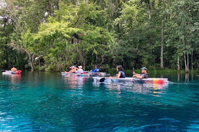 Glass Bottom Kayak Tours of Silver Springs - Who This Kayak Tour Suits Best (and Who Should Think Twice)