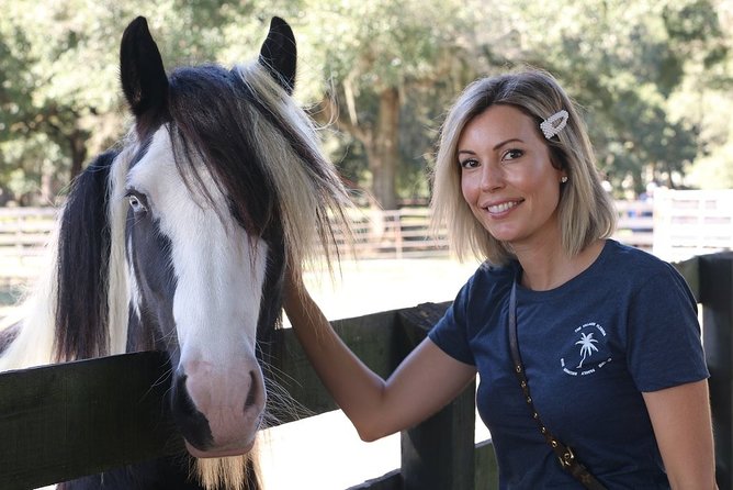 Gypsy Gold Horse Farm Tour - More animals than you expect: donkeys and mules come up too