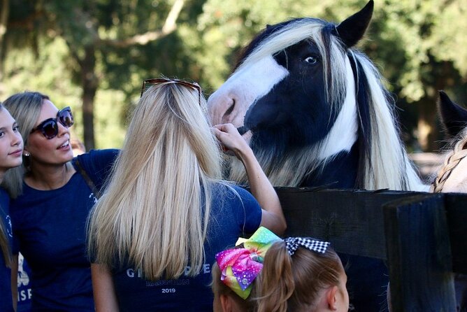 Gypsy Gold Horse Farm Tour - Price and timing: does $55 feel worth it?