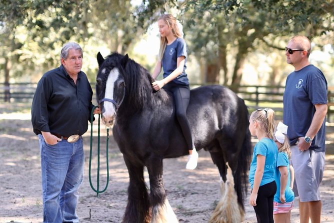 Gypsy Gold Horse Farm Tour - Who should book this tour (and who might want to choose something else)