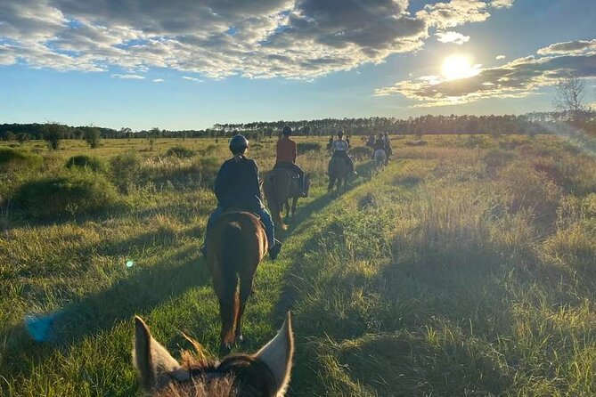 Horseback Ride on Scenic Lake Louisa Trails - Key highlights worth knowing