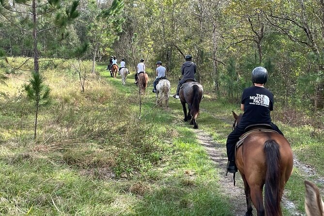 Horseback Ride on Scenic Lake Louisa Trails - Lake Louisa horseback riding: calm trails and real park stories