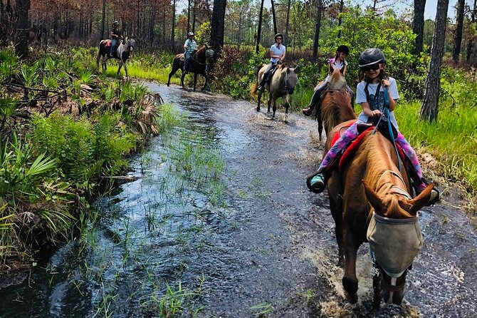 Horseback Ride on Scenic Lake Louisa Trails - Pace and photos: getting the views without turning it into a crowd scene