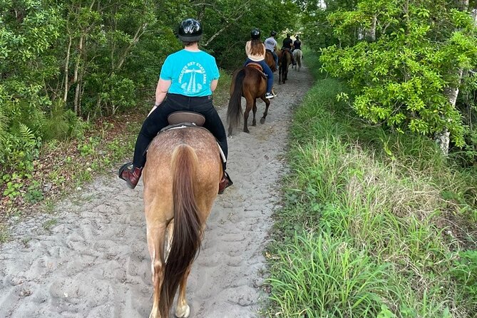 Horseback Ride on Scenic Lake Louisa Trails - Where you meet near Orlando (and how to avoid the most common mistake)