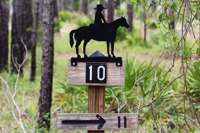 Horseback Ride on Scenic Lake Louisa Trails - Guides, personalities, and what makes the group feel “small”