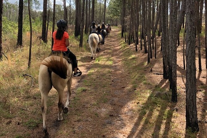 Horseback Ride on Scenic Lake Louisa Trails - Stop 1: Lake Louisa State Park trails (and the “why this place matters” talk)