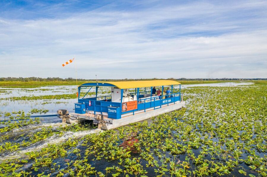 Kissimmee: 1 Hour Florida Everglades Pontoon Boat Tour - What you actually do during the hour on the water