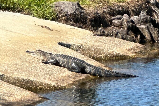 Kissimmee and St. Cloud Beach Tour on All Electric Trike (4 hrs.) - Key things that make this trike tour a standout