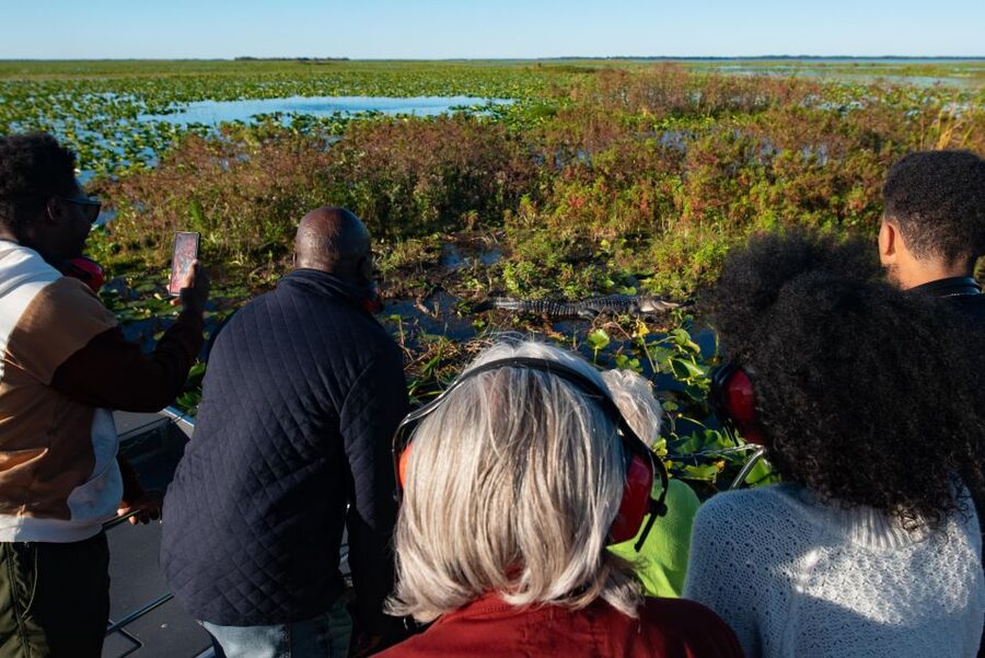 Kissimmee: Boggy Creek Airboat Ride with Optional Meal - Lily’s Butterfly Garden and critter collection: the calm part that makes the day feel complete