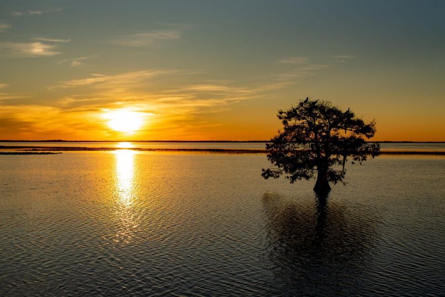 Kissimmee: Boggy Creek Sunset Airboat Tour - Where You Go: Boggy Creek Check-In and Getting Positioned