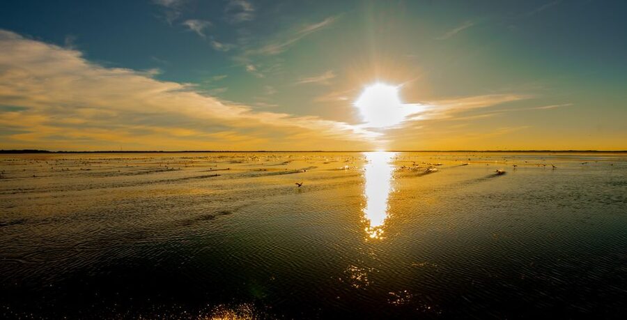 Kissimmee: Boggy Creek Sunset Airboat Tour - Ultimate Tour Add-On: Gem Mine and Lunch After the Ride