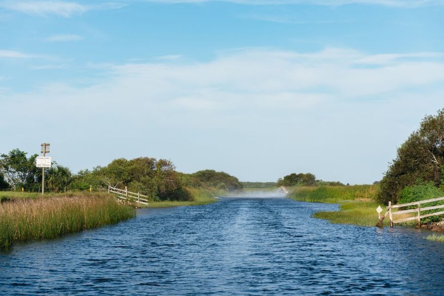 Kissimmee: Everglades Airboat Adventure Tour - Price and value for a $70 alligator hunt