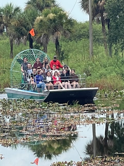 Kissimmee: Everglades Alligator and Wildlife Airboat Tour - The baby gator moment: included, memorable, and very kid-friendly