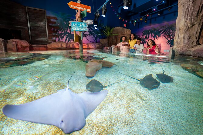 LEGOLAND Florida Theme Park Admission Tickets - LEGOLAND Water Park Upgrade: Slides and LEGO-Themed Splash Time