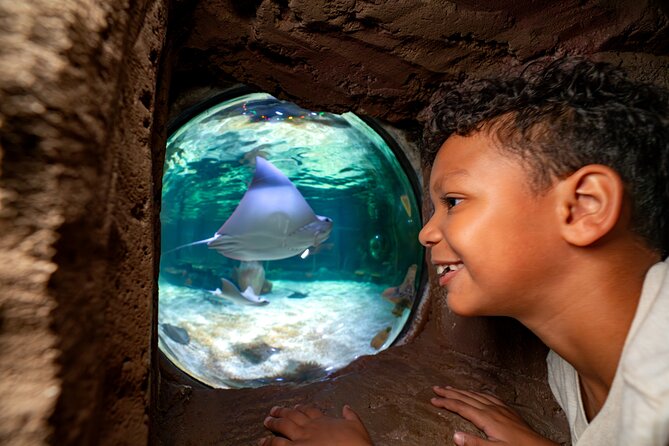 LEGOLAND Florida Theme Park Admission Tickets - SEA LIFE Aquarium Florida: 30 Minutes of Calm Between Big Fun