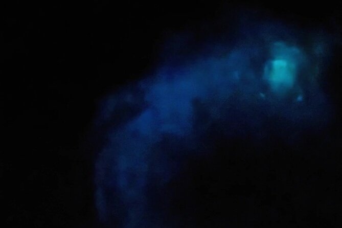 Magic After Dark Bioluminescence Kayak Tour Orlando - What to expect in terms of weather and timing