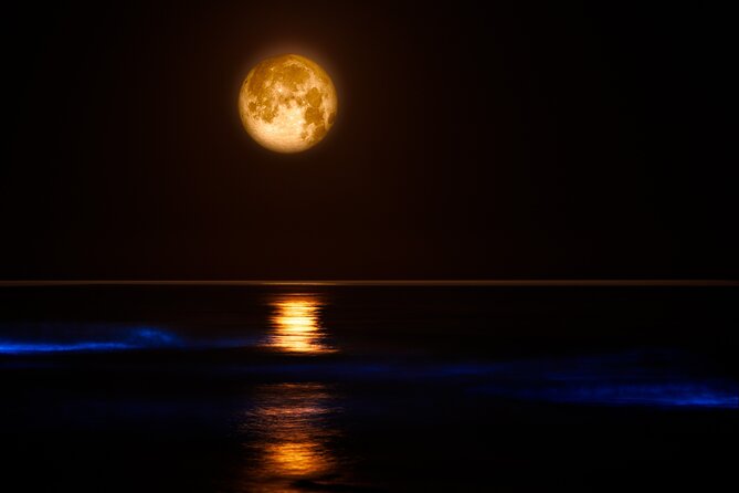 Magic After Dark Bioluminescence Kayak Tour Orlando - Price and what $85 buys you on the water
