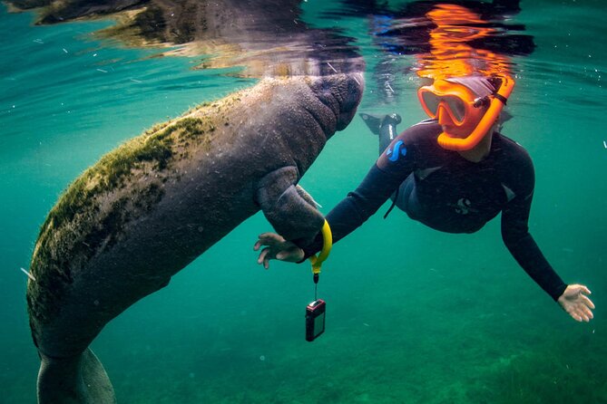 Manatee Snorkeling Adventure Tour with Lunch & Hotel Pickup - Withlacoochee River airboat: when it’s included and why it’s worth it