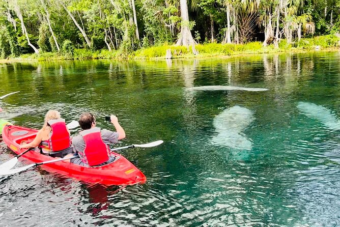 Manatees, Monkeys and Florida Natural Spring Adventure Tour - Silver Springs in 2 Hours: What This Adventure Is Like