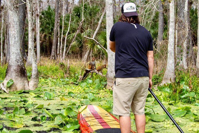 Manatees, Monkeys and Florida Natural Spring Adventure Tour - Clear Boards, Clear Kayaks, and the Intro Lesson That Helps