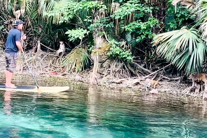 Manatees, Monkeys and Florida Natural Spring Adventure Tour - Who Should Book This Spring Adventure?
