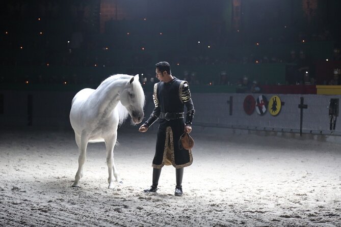 Medieval Times Dinner Show in Orlando - Seating, Sound, and Timing: How to Get a Better Night