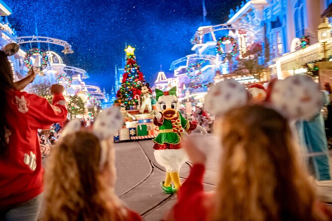 Mickey's Very Merry Christmas Party at the Magic Kingdom - Who this party ticket is best for