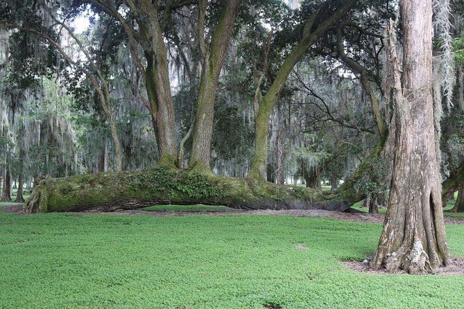 One-Hour Airboat Ride Near Orlando - What to Pack: Warm Clothes, Quiet Gear, and Practical Camera Setup