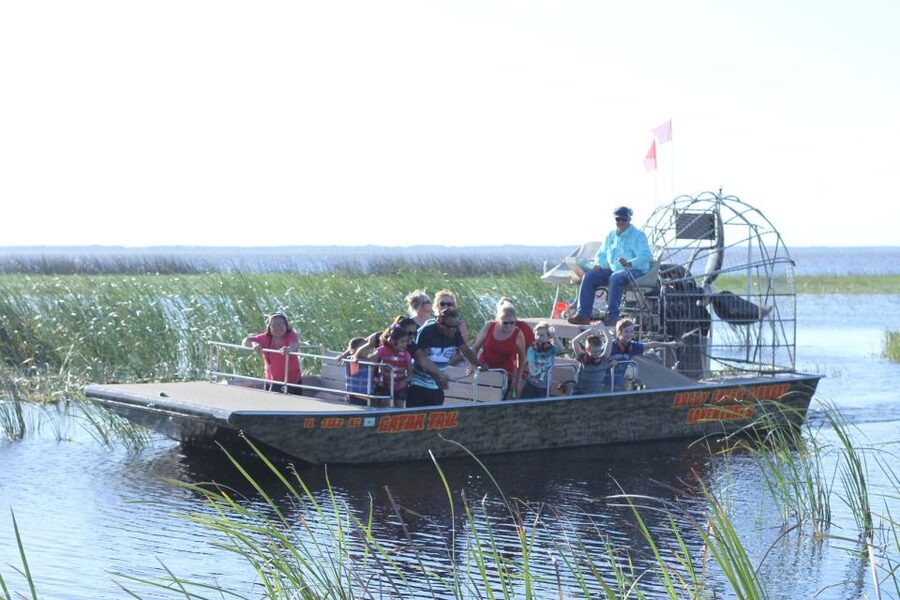 Orlando: Airboat Ride Tour with Hotel Pickup - Airboat Park time: walk, look, and catch the gator moments