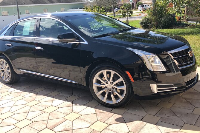 Orlando Airport MCO to Port Canaveral Luxury Sedan - Meet-and-greet at MCO: you’re not playing airport detective