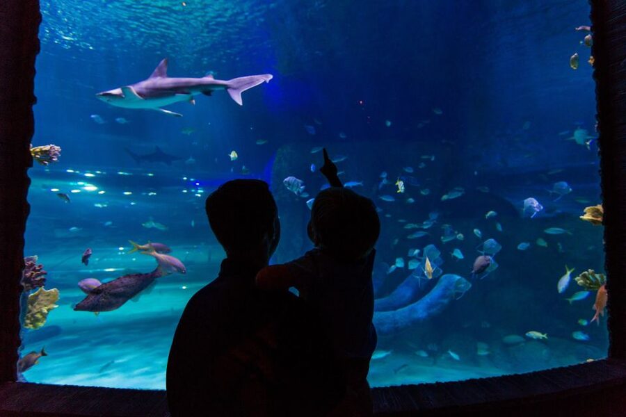 Orlando: All-Inclusive Pass with Kennedy Space Center - The Value Bet: why this pass can beat buying one ticket at a time