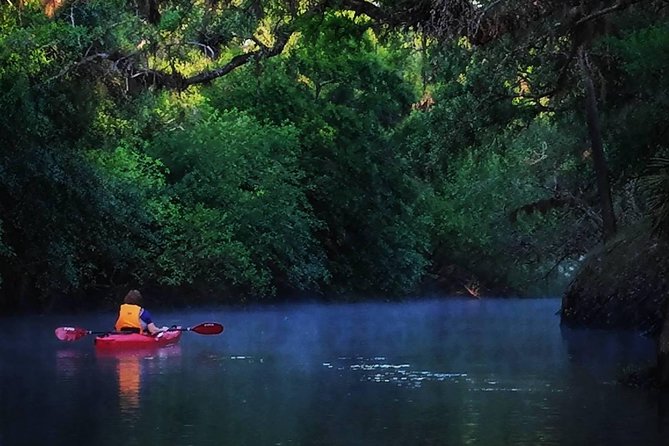 Orlando Alligator Experience - Why This Half-Day Alligator Kayak Feels Different Than a Theme Park