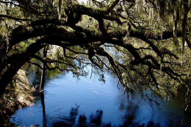 Orlando Alligator Experience - Break Time and Lunch Along the Riverside (How to Plan Your Gear)