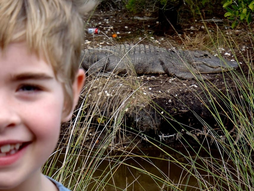 Orlando Alligator Experience: Day-Trip From Orlando - What to pack: sun, wet gear, water shoes, and a camera plan