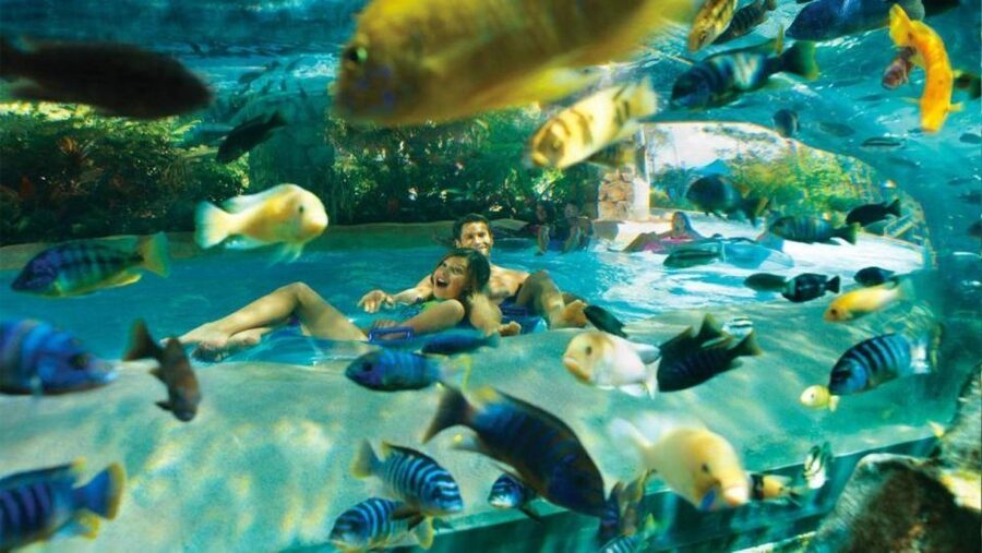 Orlando: Aquatica Water Park Admission Ticket - Aquatica at a glance: what makes this water park tick