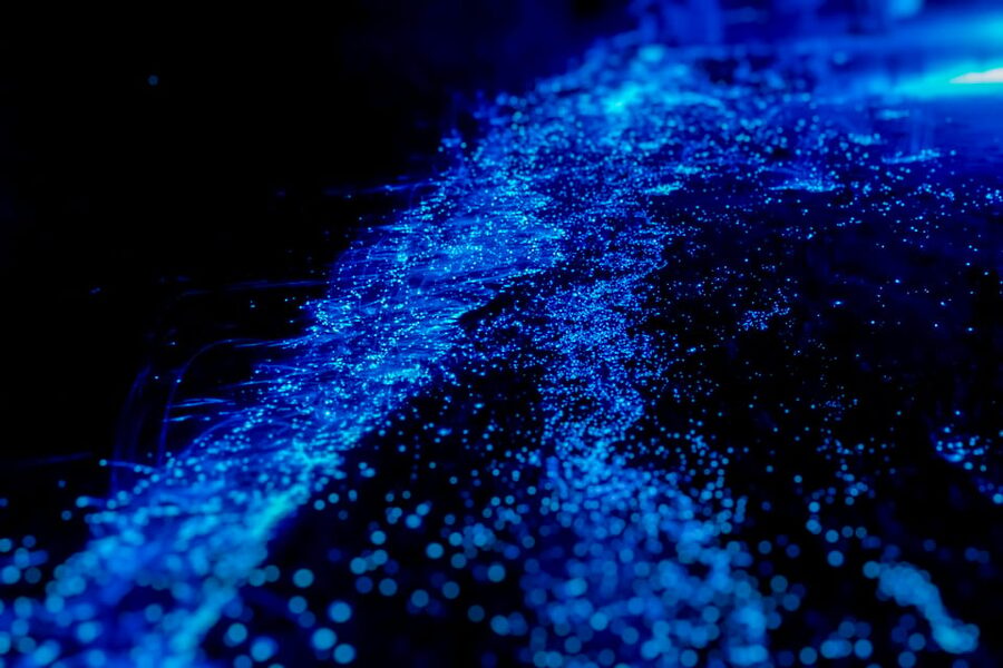 Orlando: Bioluminescence Kayak Tour - The 1.5-hour flow: how the tour moves through the glow zone