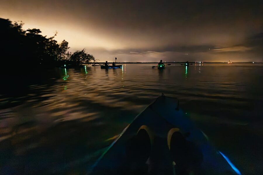 Orlando: Bioluminescence Kayak Tour - Price and value: is $86 worth it?