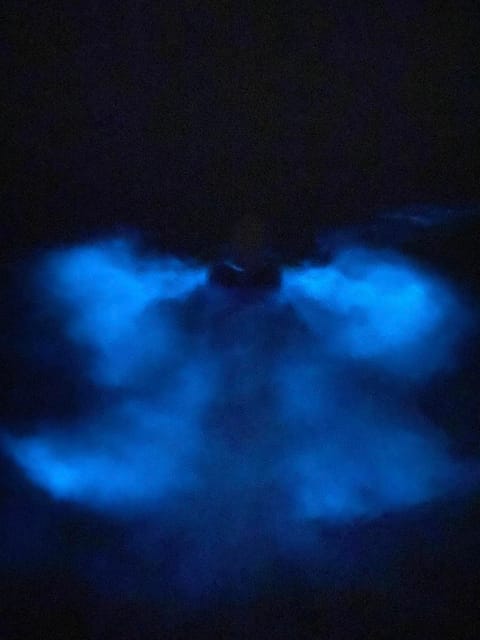 Orlando: Bioluminescence Kayak Tour - First steps on shore: check-in, gear, and quick night instruction